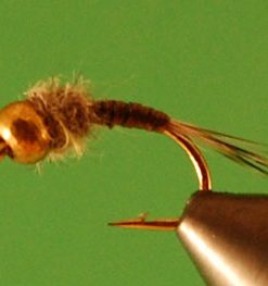 Skinny Quill (BH)