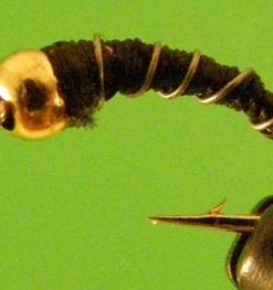 Zebra Midge