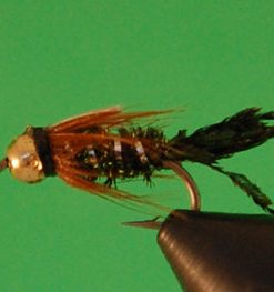 Zug Bug (bead head)