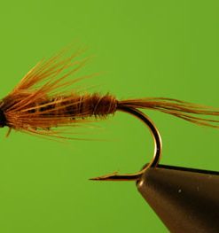 Pheasant Tail
