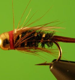 Prince Nymph (bead head)