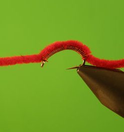 San Juan Worm (red)
