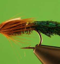 Zug Bug