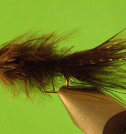 Balanced Leech (black)