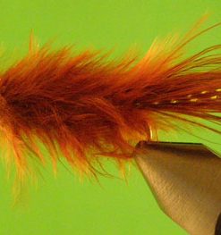 Balanced Leech (brown)