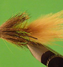 Bow River Bugger (olive cone head)