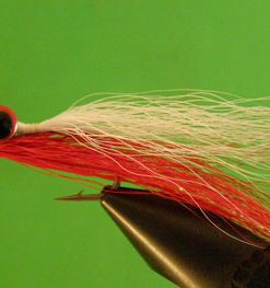 Clouser (red & white)
