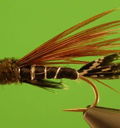 Doc Spratley (black)