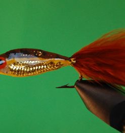 Janssen's Minnow (brown trout)