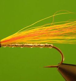 Mickey Finn