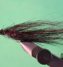 Ruby Eye Leech (cone head)