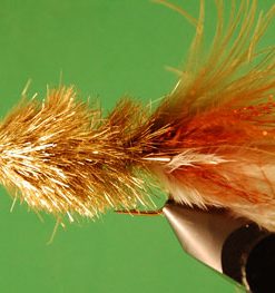 Sparkle Minnow (conehead)