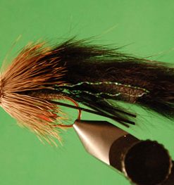 Zuddler (black conehead)