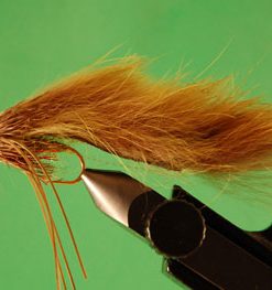 Zuddler (olive conehead)