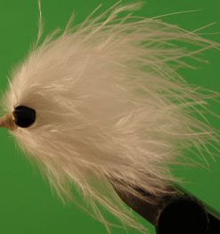 Gartside Leech (white)