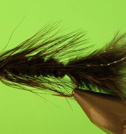 Woolly Bugger (black bead head)