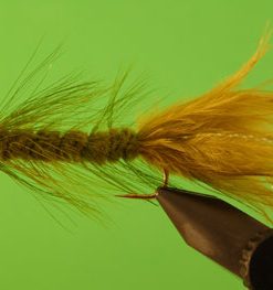 Woolly Bugger (olive bead head)