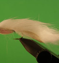 Zonker (white)