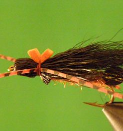 Bullethead Salmonfly