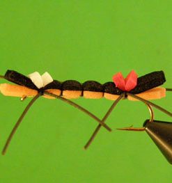 Chernobyl Ant (pink / purple)