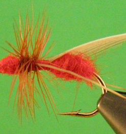 Flying Ant (red)