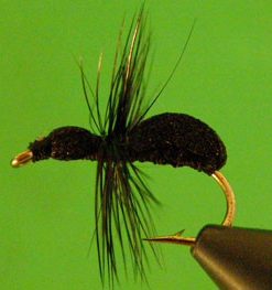 Foam Ant (black)