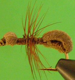 Foam Ant (tan)