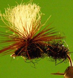 Glitter Ant (parachute)