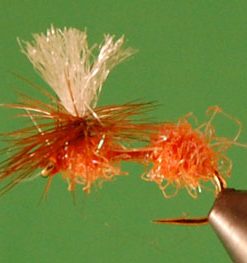 Glitter Ant (orange)