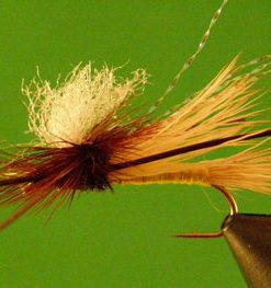 Madame X (orange parachute)